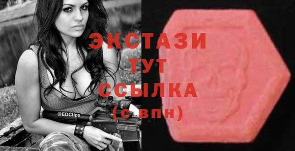 хмурый Аркадак