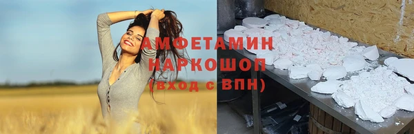 хмурый Аркадак