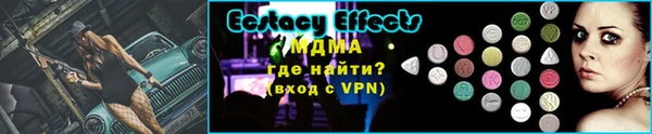 хмурый Аркадак