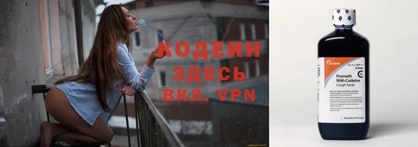 хмурый Аркадак