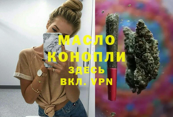 хмурый Аркадак