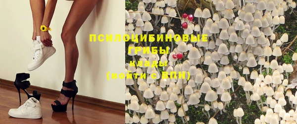 MESCALINE Арсеньев