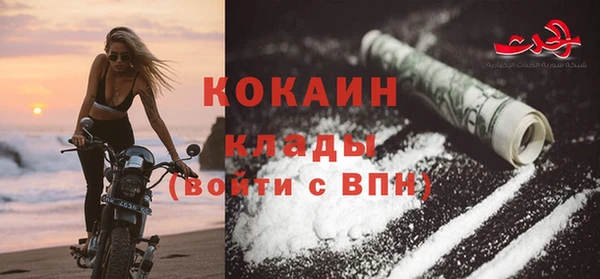 хмурый Аркадак