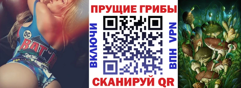 Псилоцибиновые грибы ЛСД hydra вход Боготол